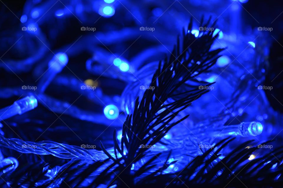 night view blue 💙 light Christmas holiday