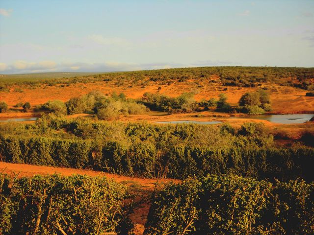 Addo Elephant Park