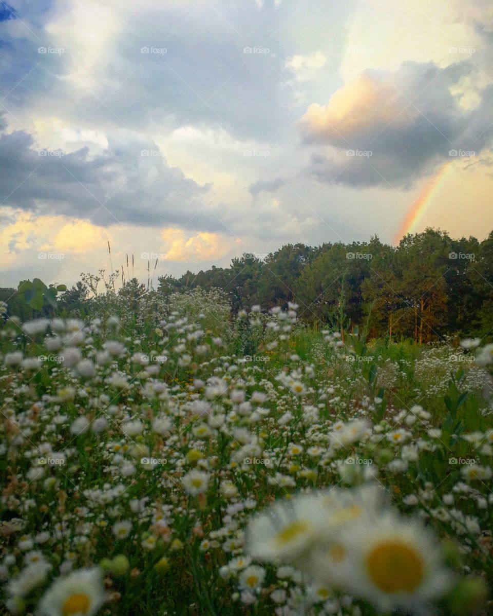 Rainbow after the storm