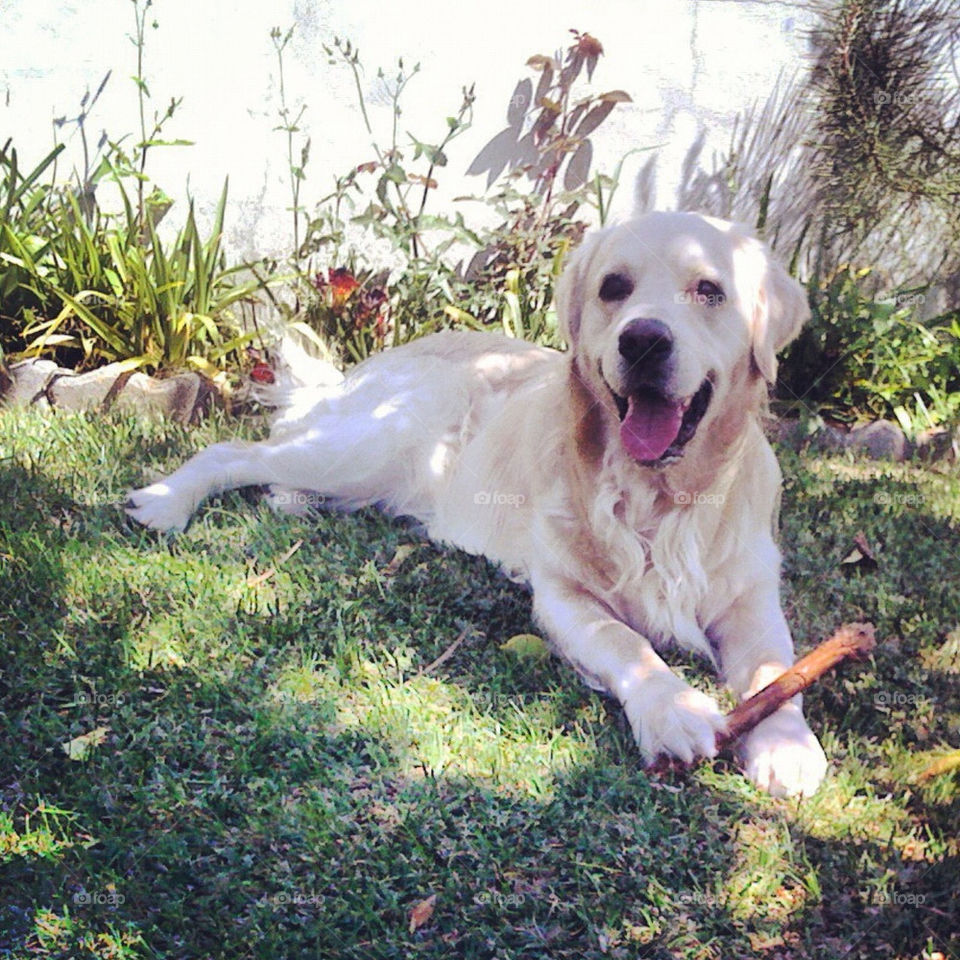 garden happy pretty grass by Zita