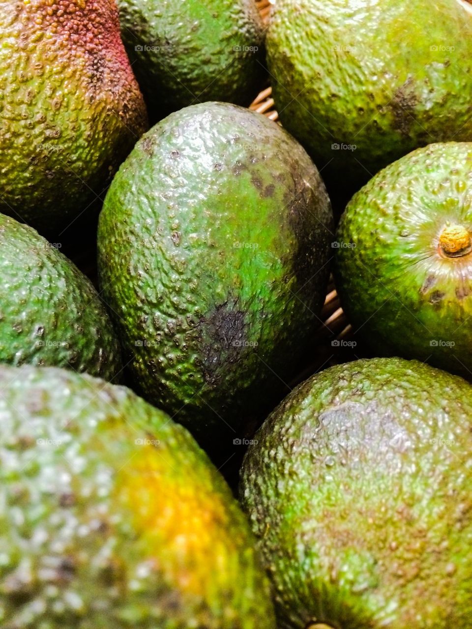 Avocados 