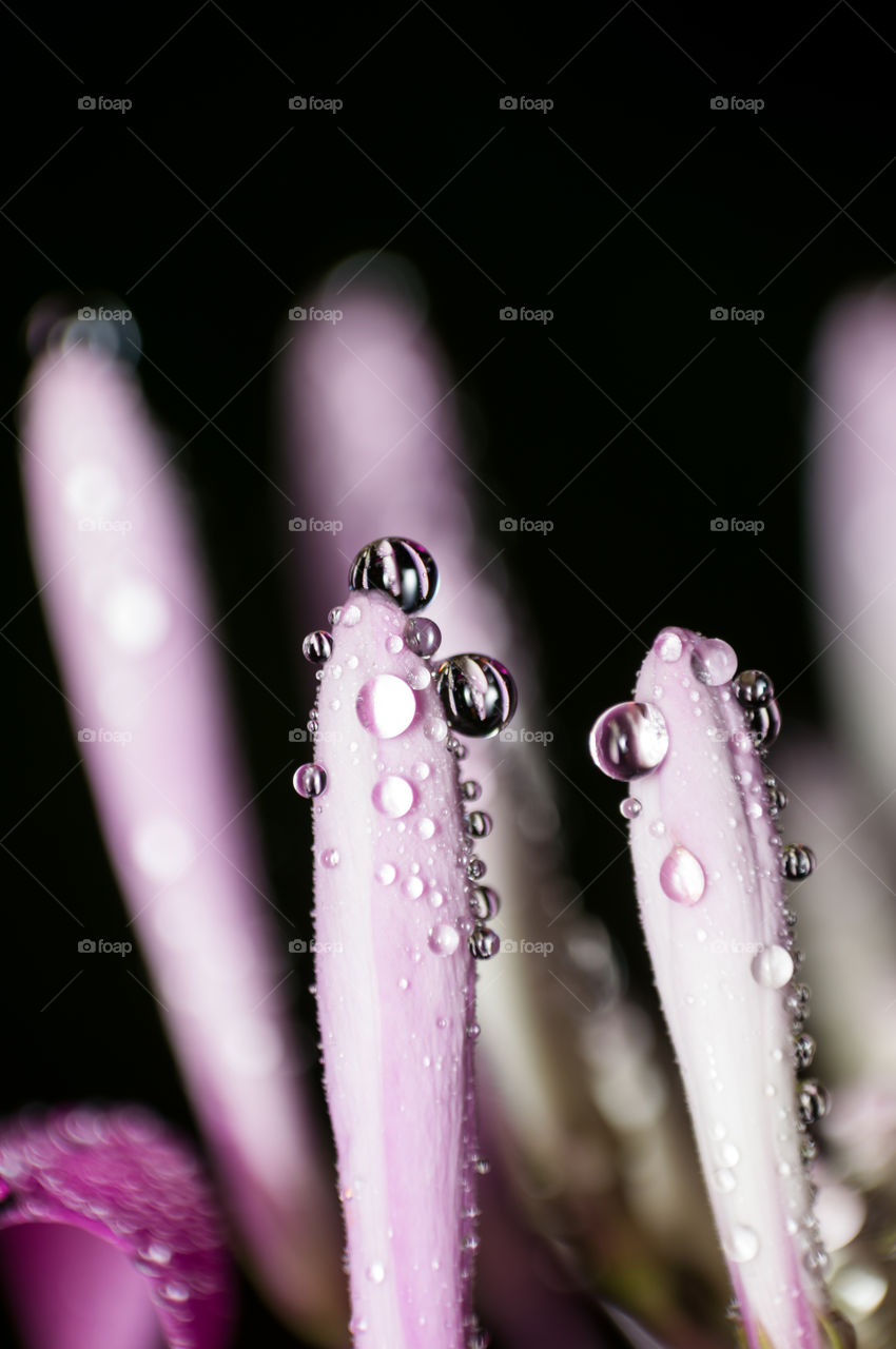 Water droplets.