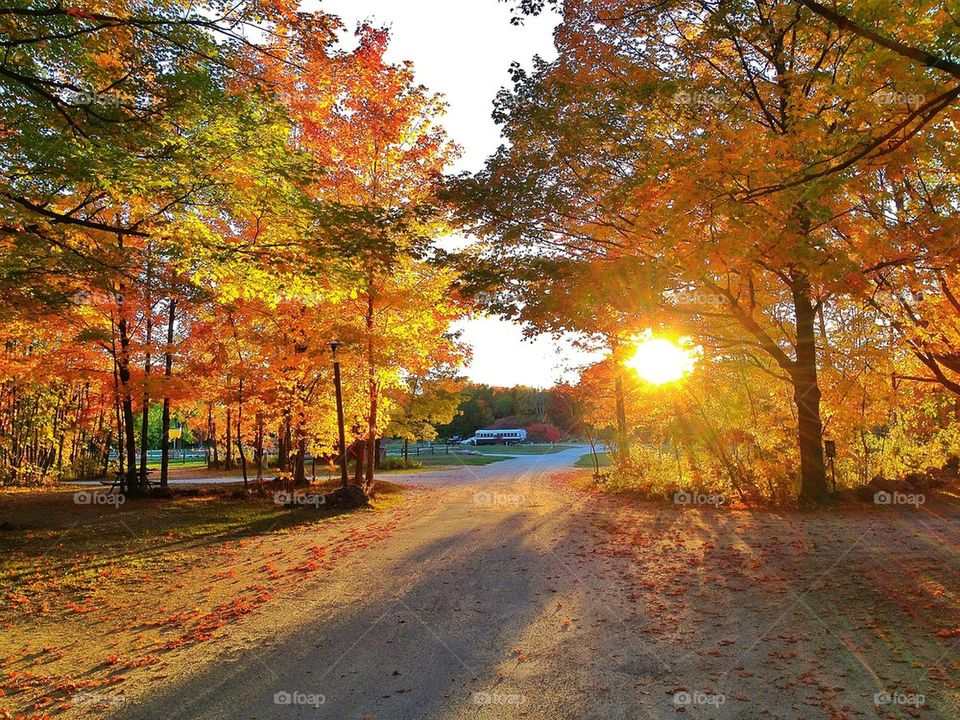 Fall is my favorite time of yeah 