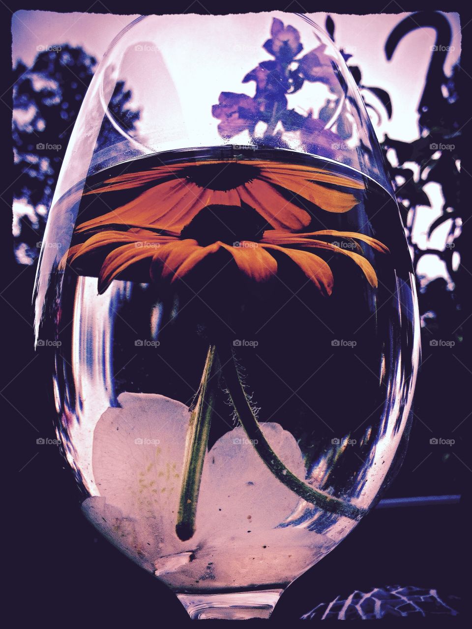 Reflection in a glass