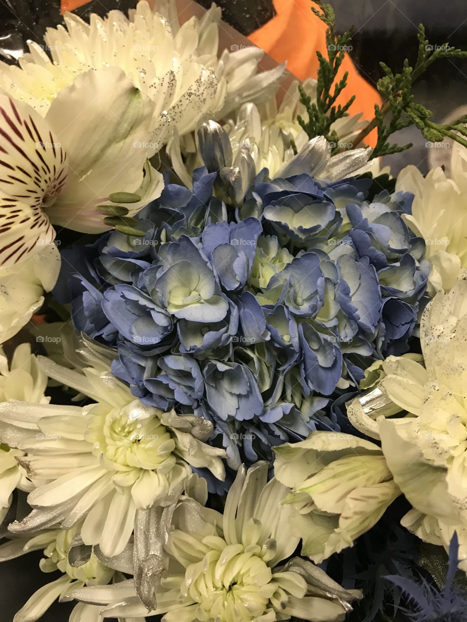 Beautiful bouquet of mixed white and blue flowers. 