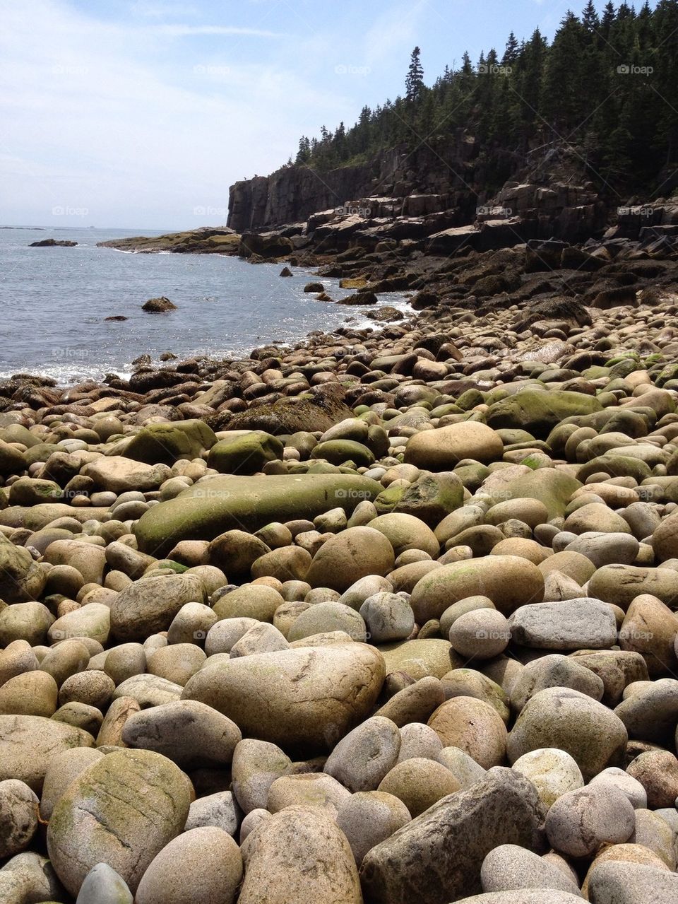 Otter Cliffs and boulders