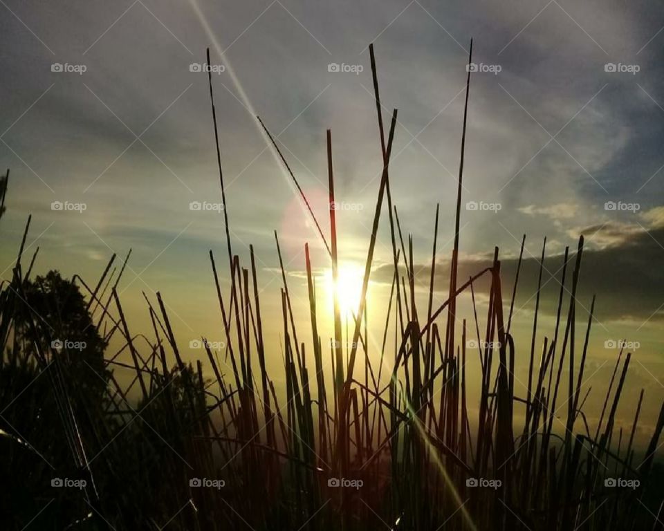 ampel boyolali is beautiful