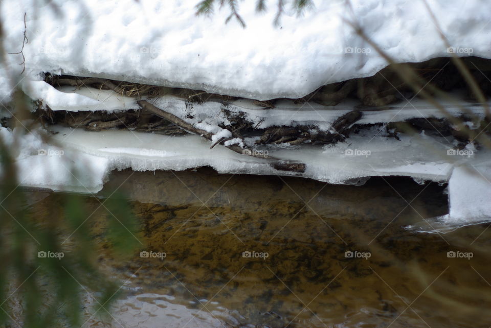 snow is melting. Spring