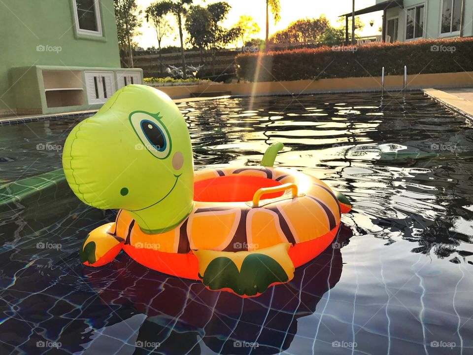 Cute turtle life ring  floating in the pool with beautiful sunlight background