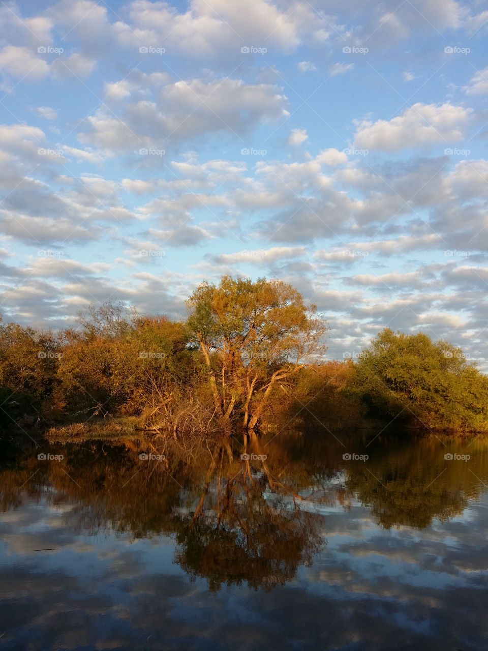 Reflection on a pond