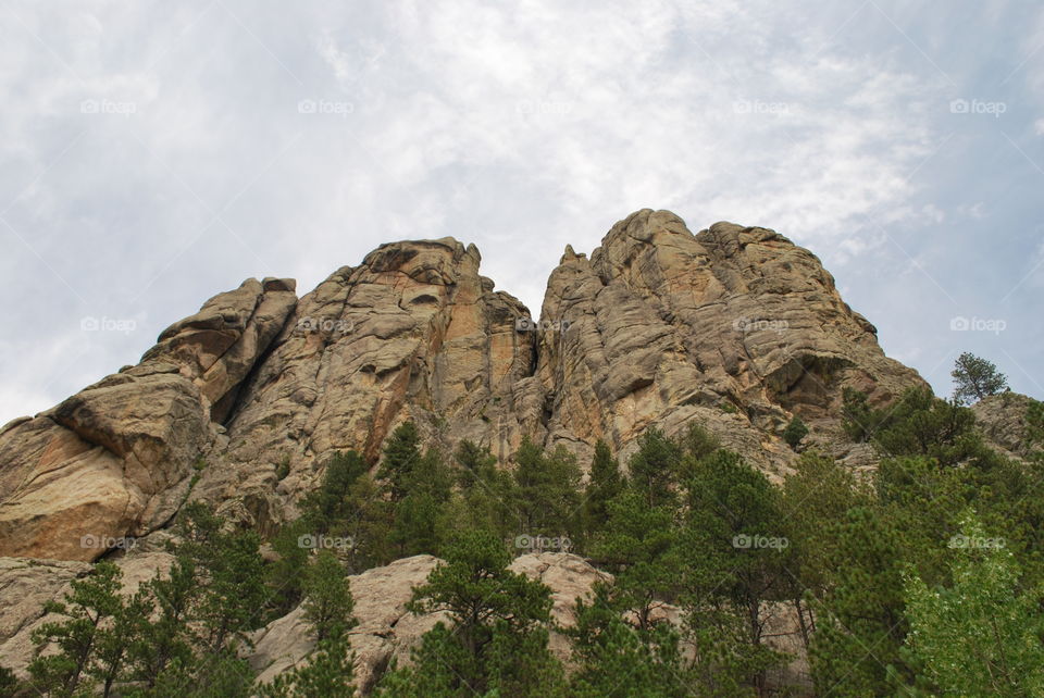 Low angle view of Black Hills