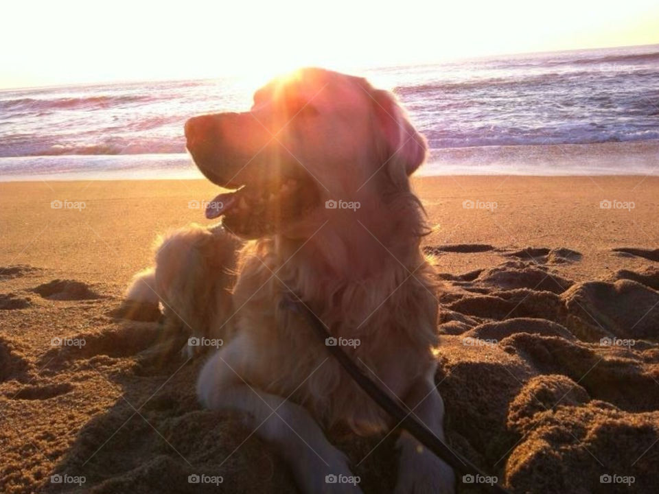 porto beach light summer by Zita