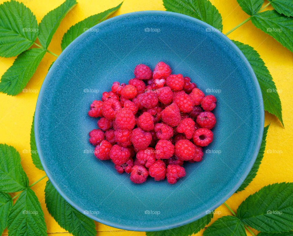 Plateful of fresh Finnish raspberries served on blue plate on yellow table with green raspberry leafs for decoration.