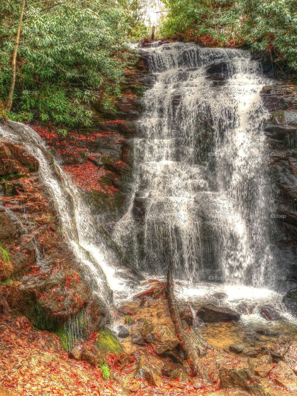 Beautiful waterfall in woods