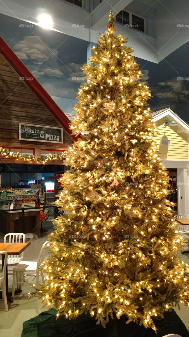 The Christmas tree placed at The Common Man Roadside in Hooksett, NH.