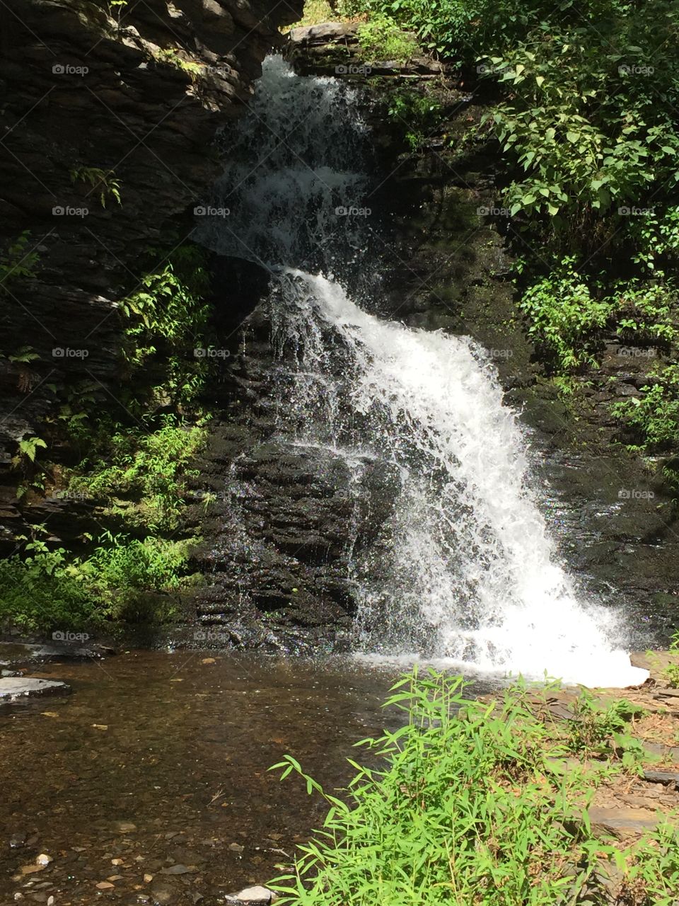 Summer waterfall 