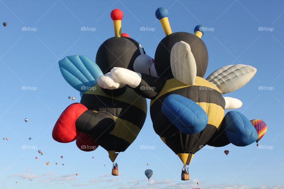 Kissing Bees Balloons