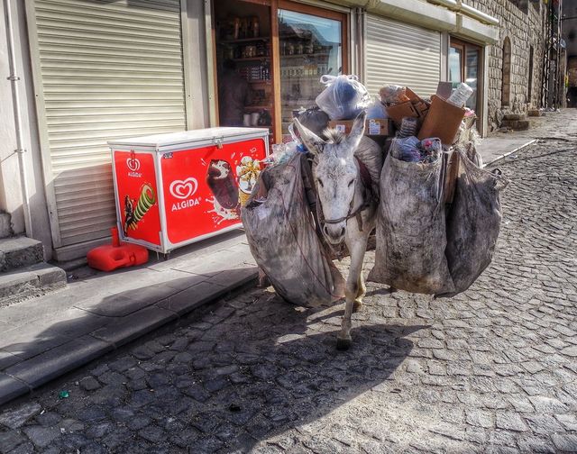 Garbage carrier. 