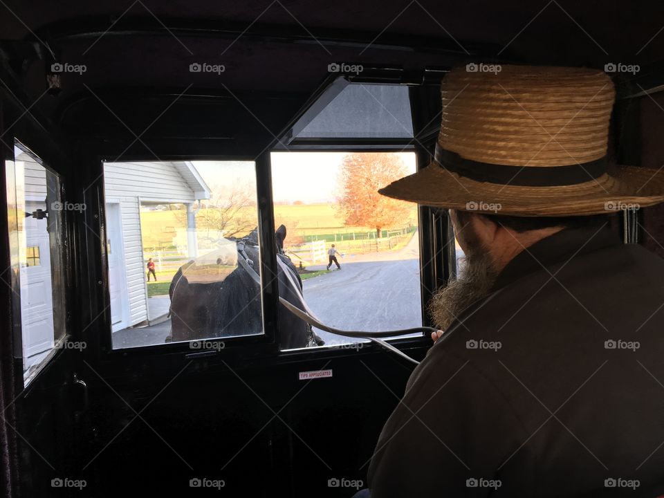 Amish Buggy Ride