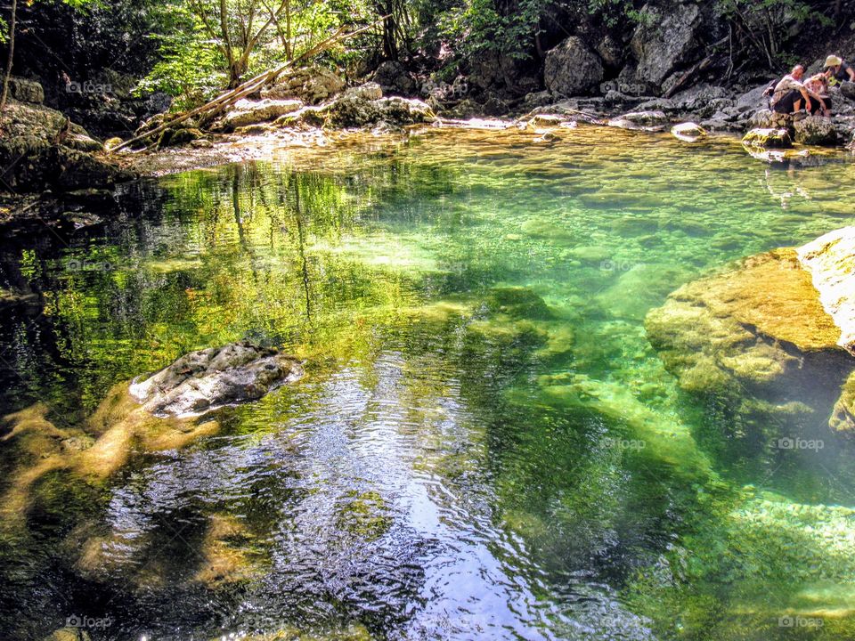 lake in the forest