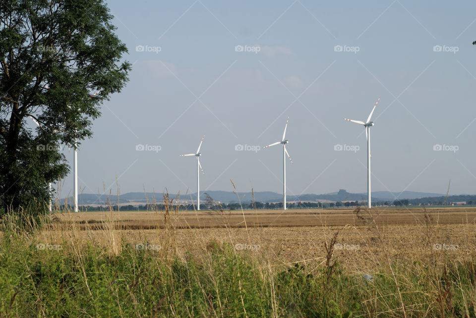 windmill