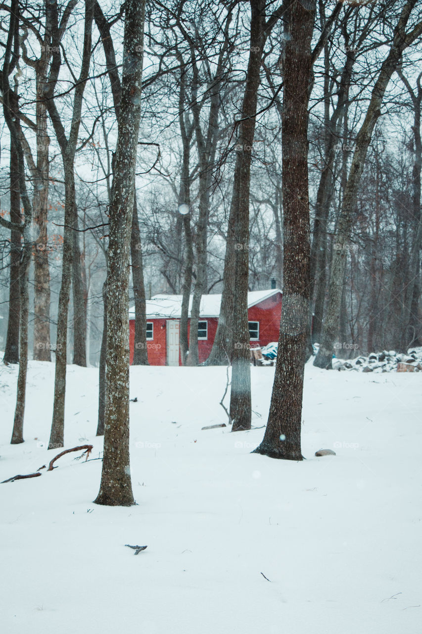 A lonely red cabin stands silent in a snow storm. 