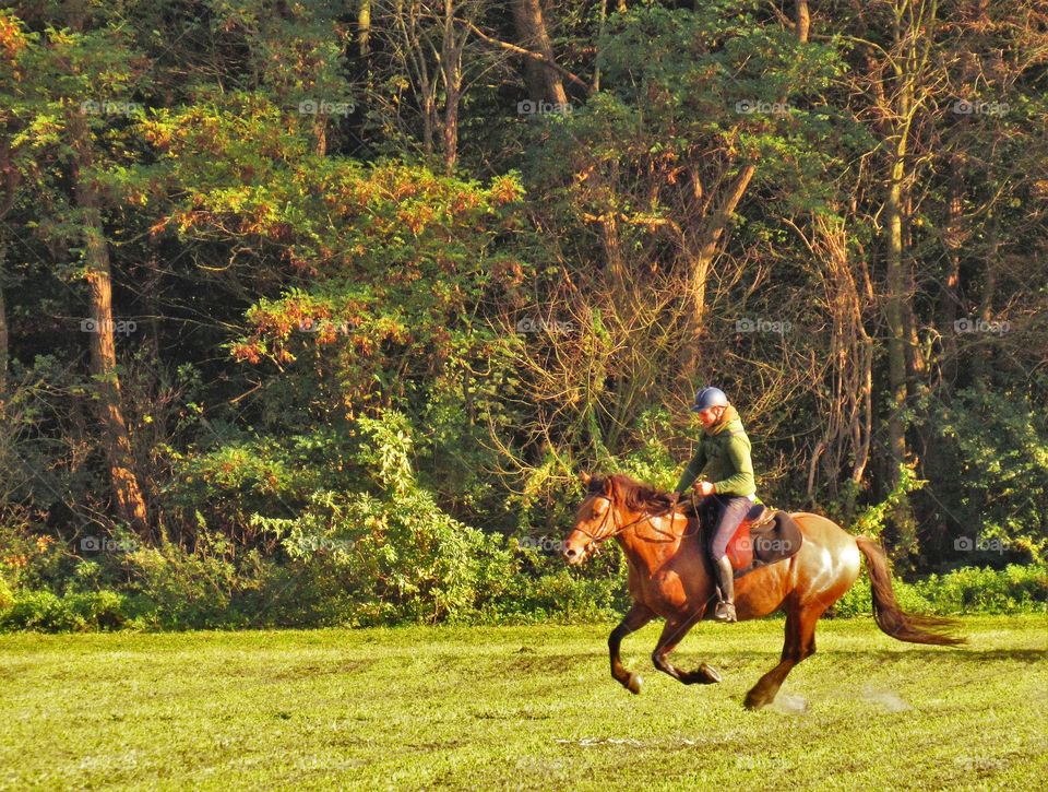 Horseriding