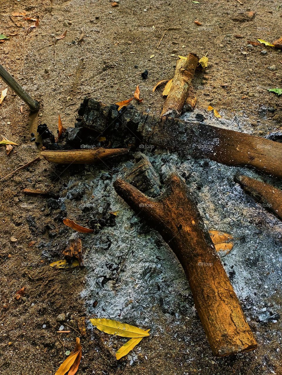 In the place for the fire, the remains of firewood are burning down and ash. Natural background 
of burnt branchescoal.