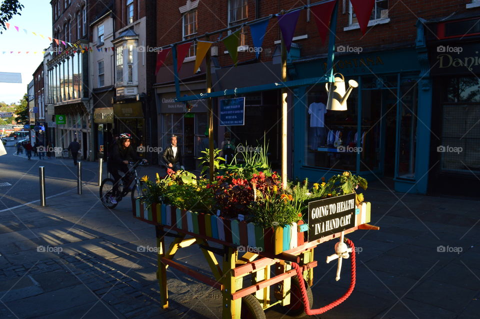 garden in the city centre