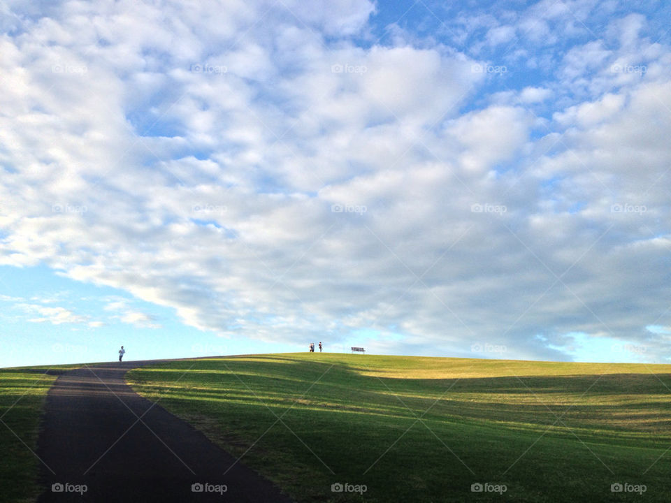 Sunlight on grassy land