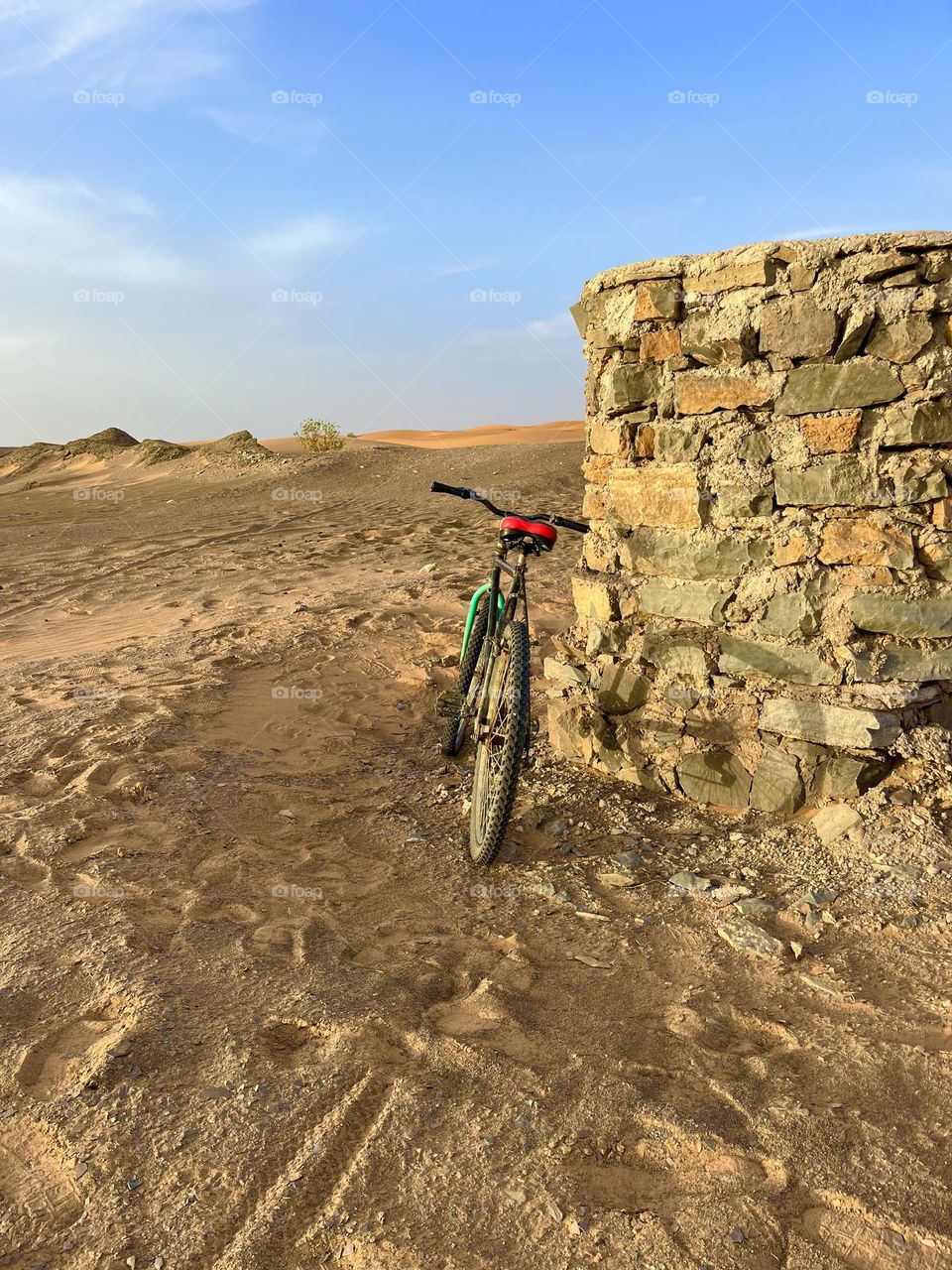 A bicycle in the Sahara Desert???