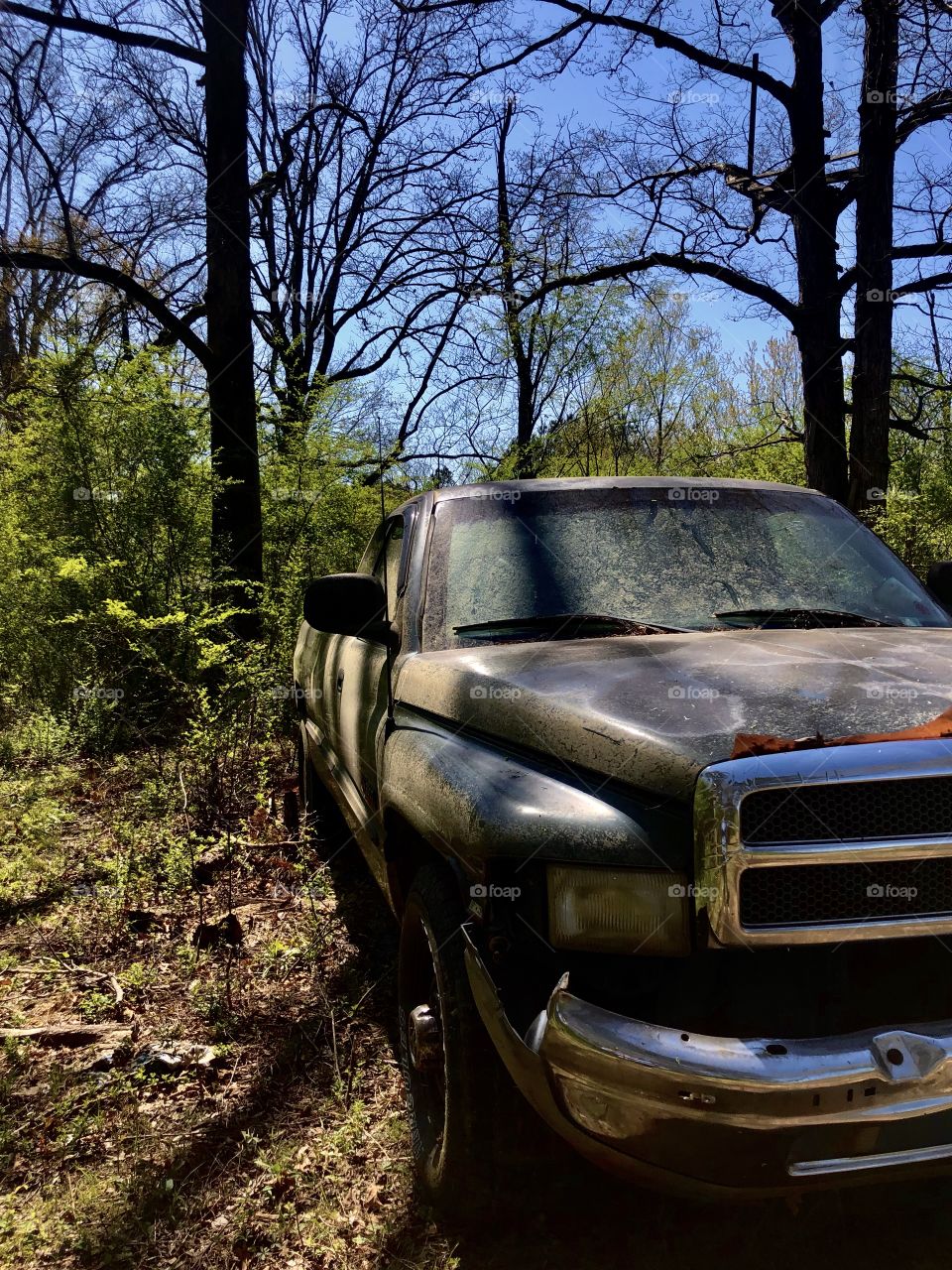 Old abandoned pickup truck in woods 