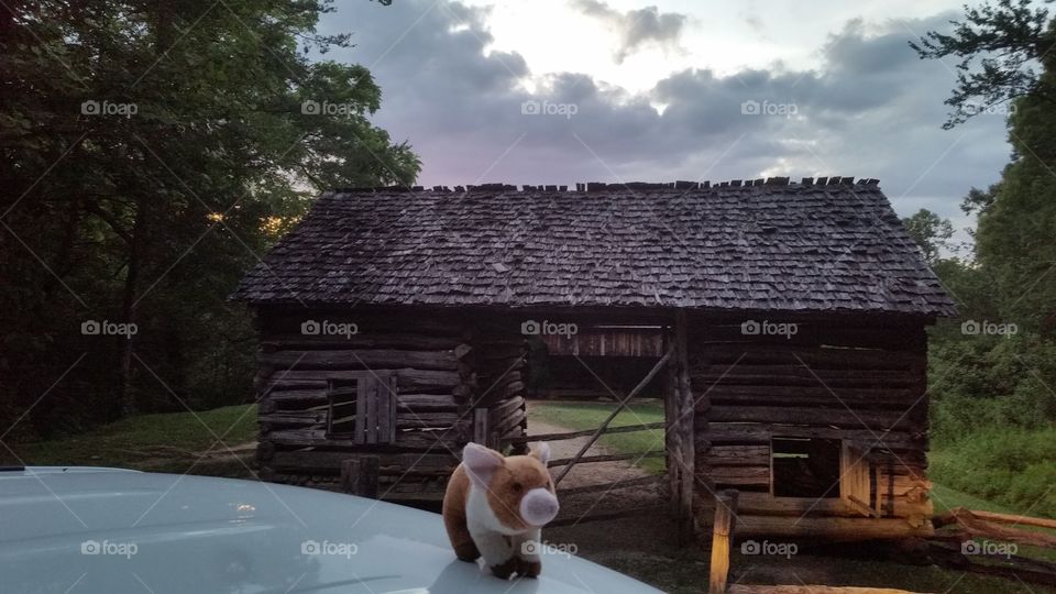 Pigglett in front of old stage coach barn Cades Cove Tennessee