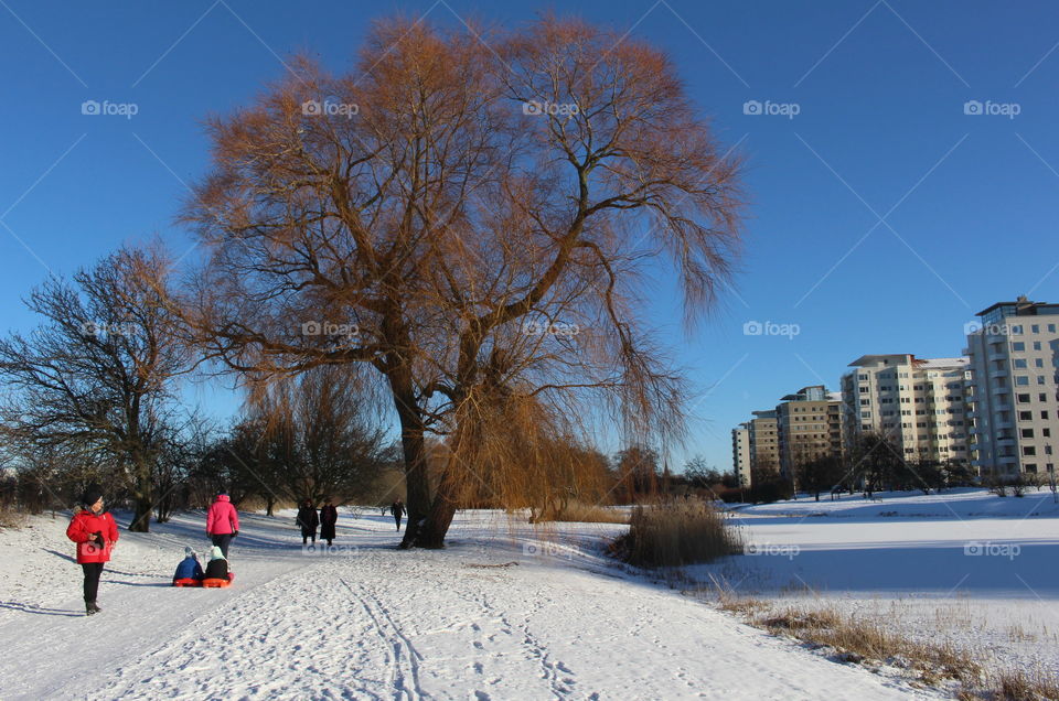 Winter in Malmö, Sweden.