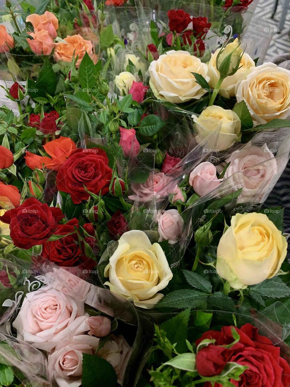 mobile photo of plants, roses and other flowers