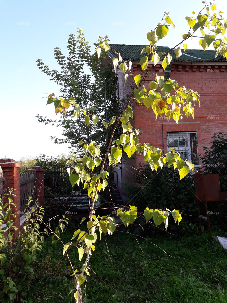 Сад.Осень.Красноярский край