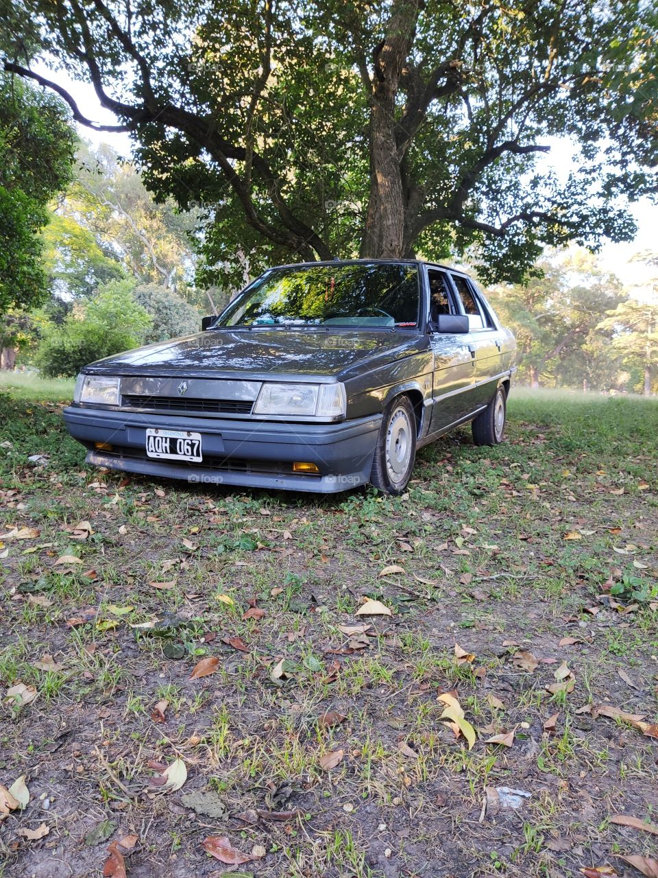 Renault 9 section photos