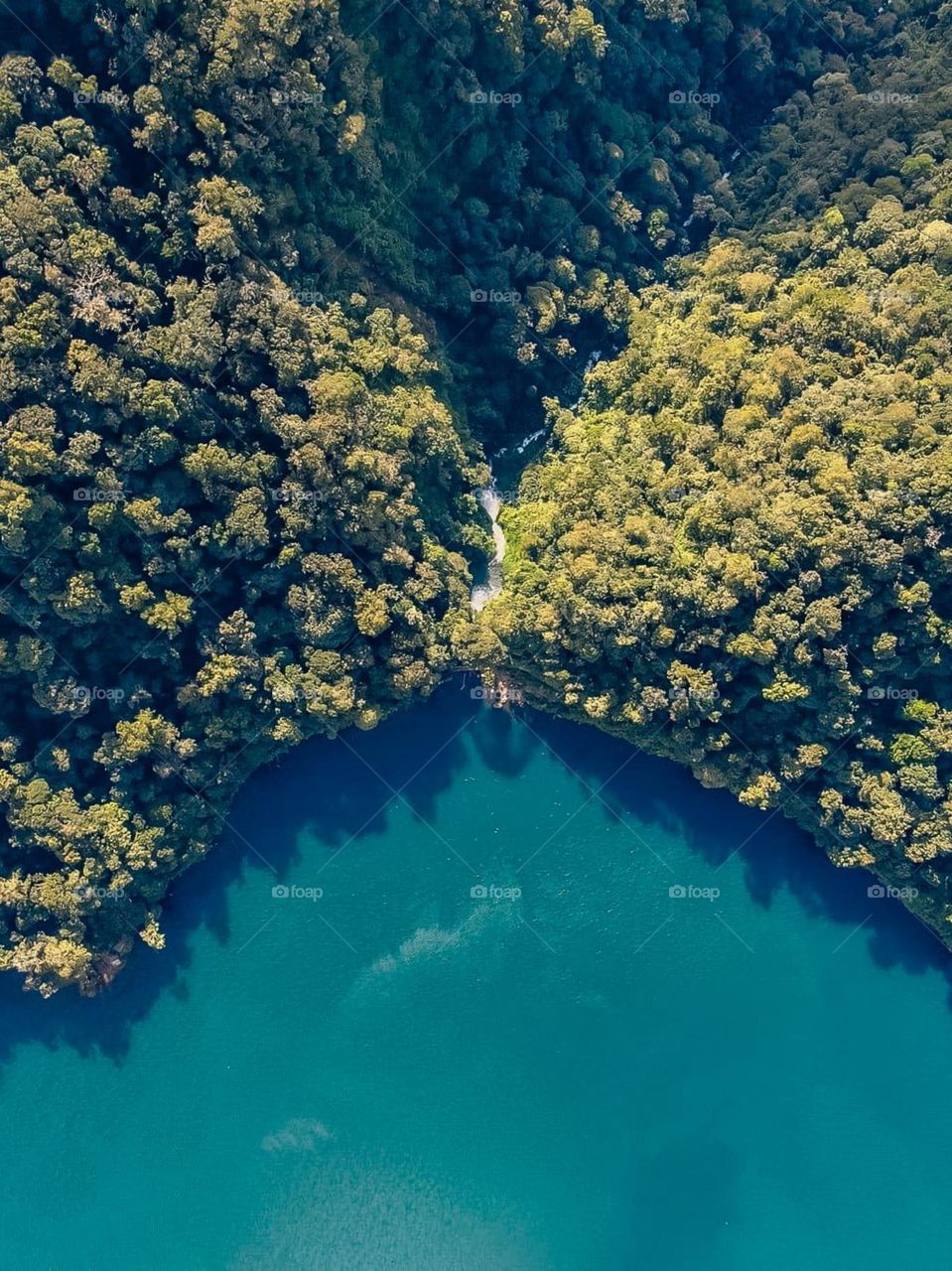 Portrait of a beautiful natural view from above, with dense forests on both sides and a turquoise river or lake flowing in the middle in high angle view