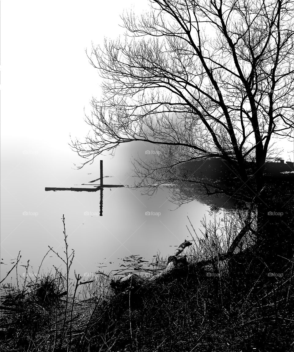 Foggy morning on Buffalo River