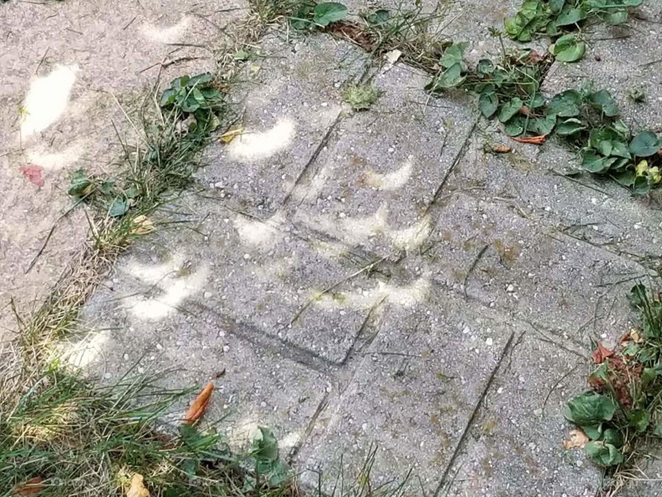 Stone, Nature, Leaf, Desktop, No Person
