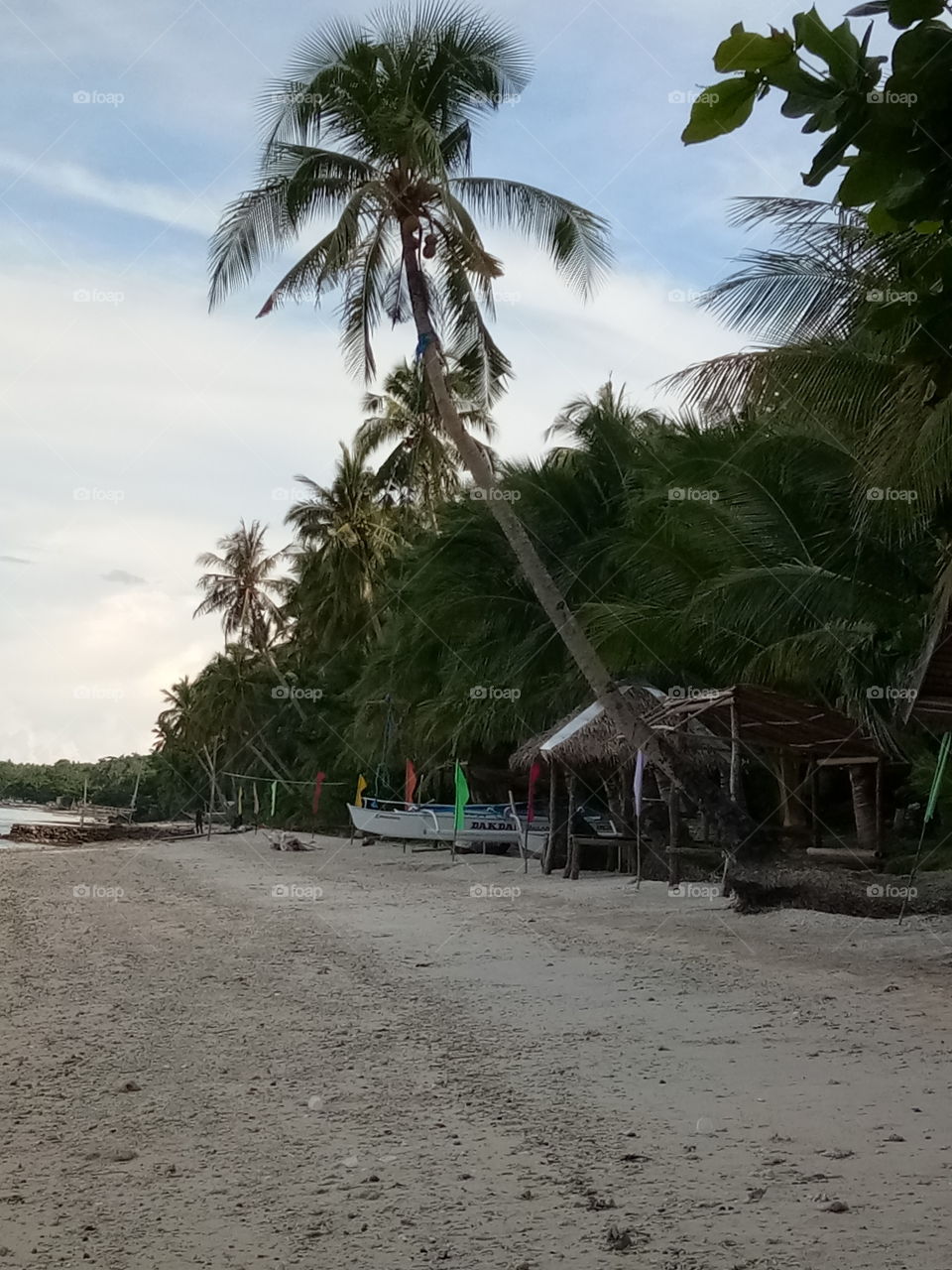 virgin island in  limasawa leyte philippines