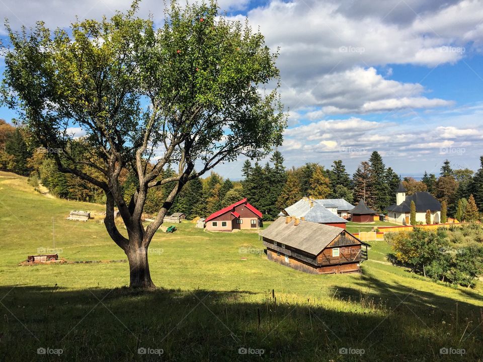 Remote wooden houses and a single apple tree in a mountain area 