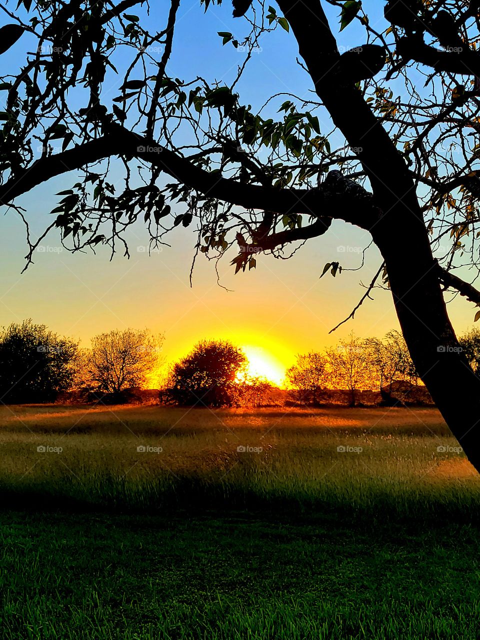 Another Beautiful Sunset In The Loan Star State.