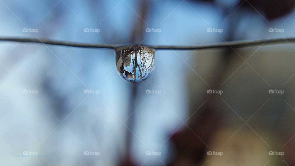 Hanging Rain Drop II