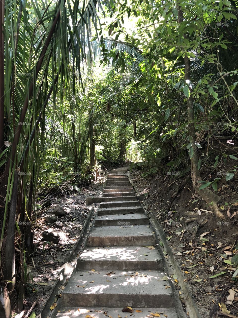Manuel Antonio Park, Costa Rica. 