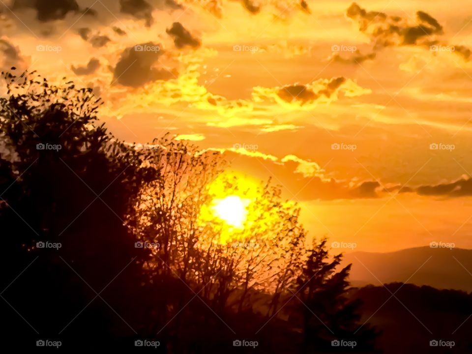 A picturesque sunset on a beautiful spring day silhouetted by a group of trees. 