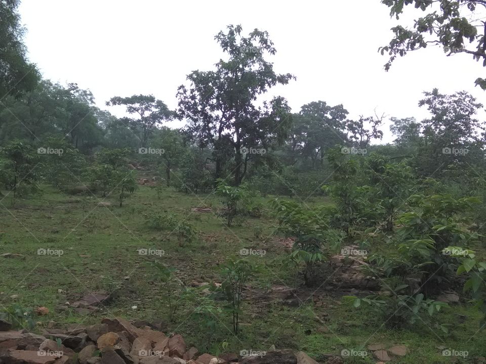 The hill station of Rampur.