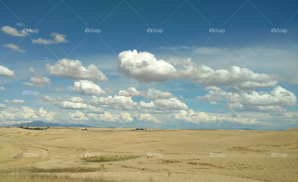 clouds over fields