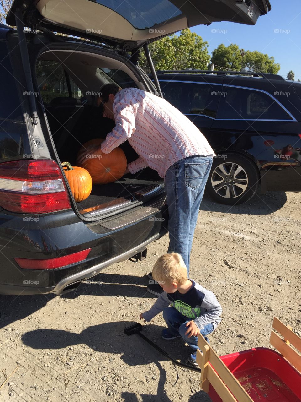 Two pumpkins in trunk