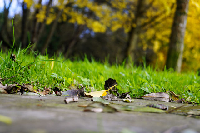 Nature